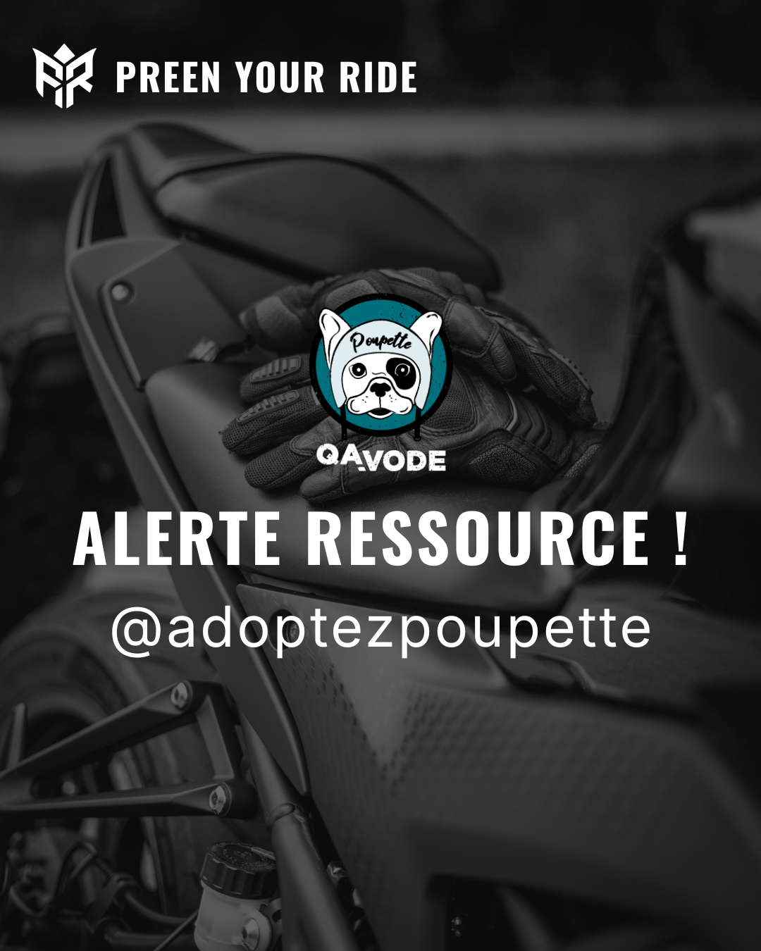 Alerte ressource : Adoptez Poupette
